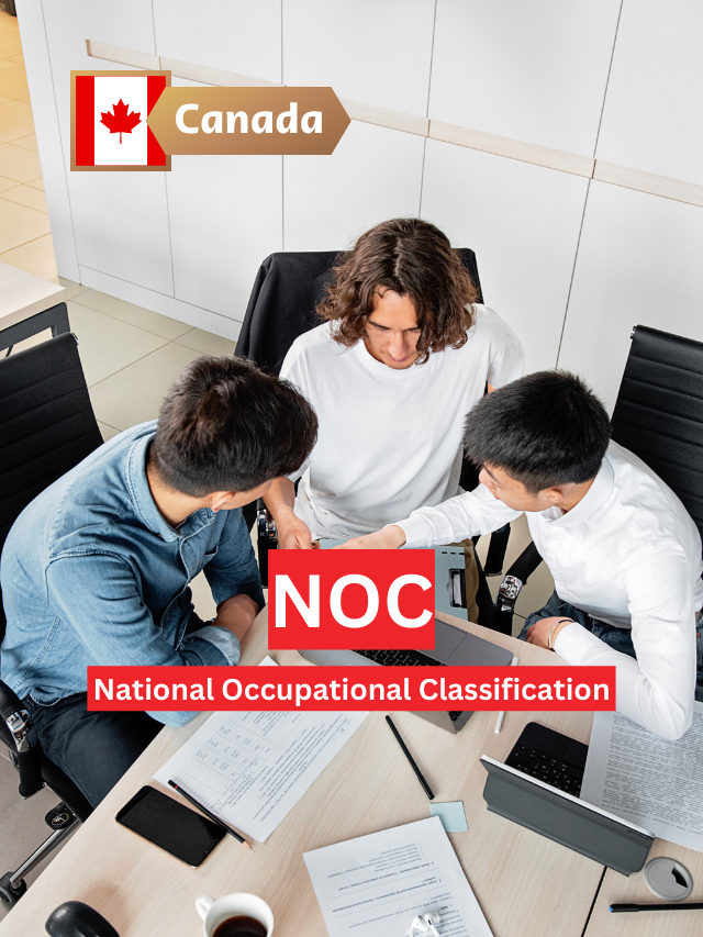 How are NOC Codes Related to the Provincial Nominee Program?